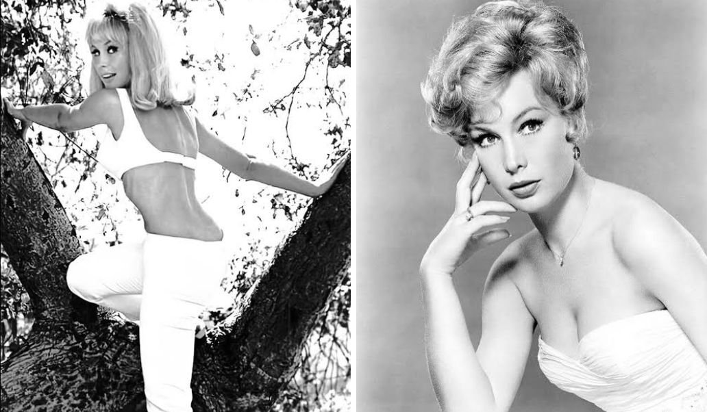 Charles Donald Fegert and Barbara Eden: The Powerful Story of Love and Change